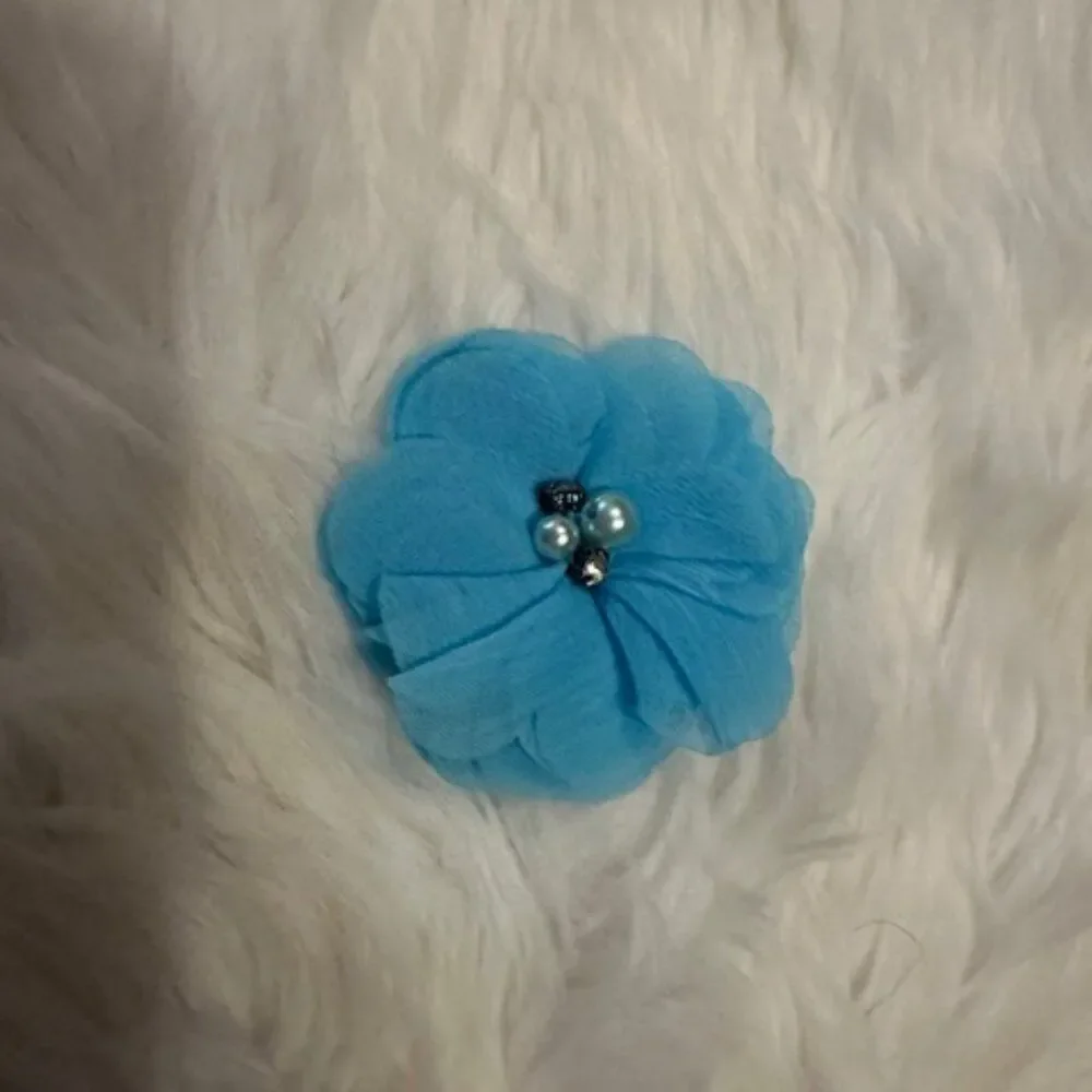 Aqua 2 1/2